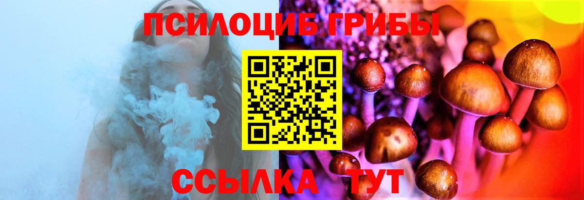 Галлюциногенные грибы Psilocybine cubensis  Вход с VPN  Костомукша 