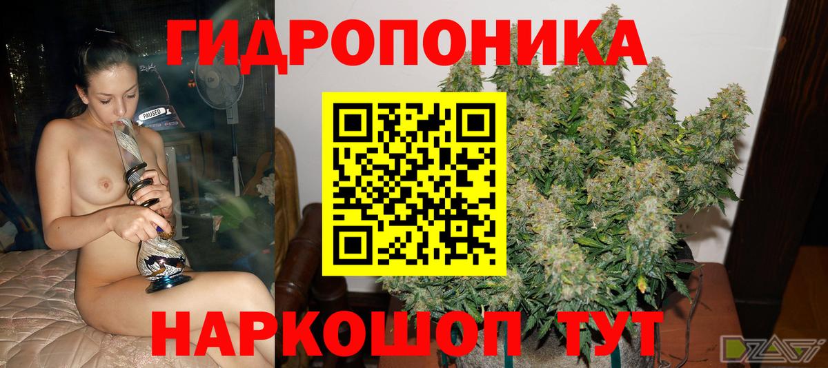Марихуана планчик  Бошки Шишки SATIVA & INDICA  Марихуана семена  Вход с VPN  Костомукша 